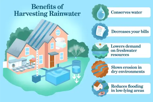 Benefits of Harvesting Rainwater